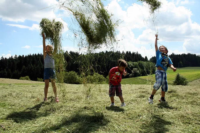 Heuernte auf dem Ferienbauernhof Heuernte auf dem Ferienbauernhof