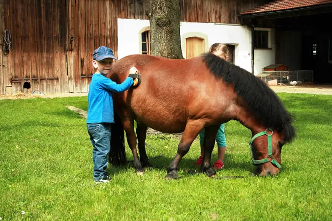 Bauernhofurlaub im Bayerwald